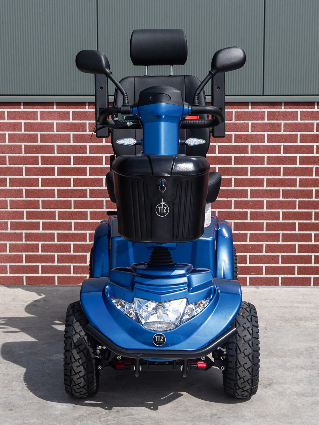 TTZ Electric Pro (22 km/u)